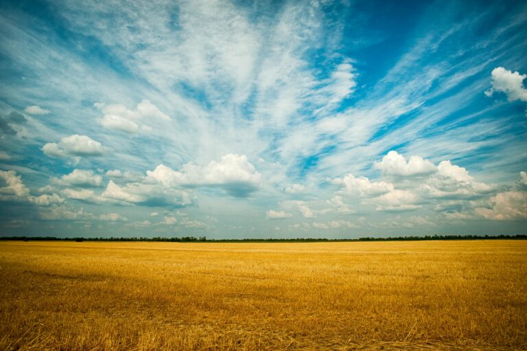 Todays homecare - Photo of field with blue skies